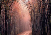 鲸鱼体育官网：第二届晋城公开赛杭州启动 预选256人参赛创新高.