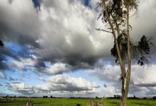 鲸鱼体育官网：[NBA]巴特勒回传弧顶 小佩顿正面三分压哨命中.