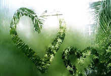 鲸鱼体育官网：[欧冠]小组赛第5轮：马竞VS勒沃库.