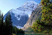 鲸鱼体育官网：[欧冠]小组赛第5轮：马竞VS勒沃库.