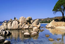 鲸鱼体育官网：亚冬会中国队特写：致敬拼搏和热爱！人民日报微博.